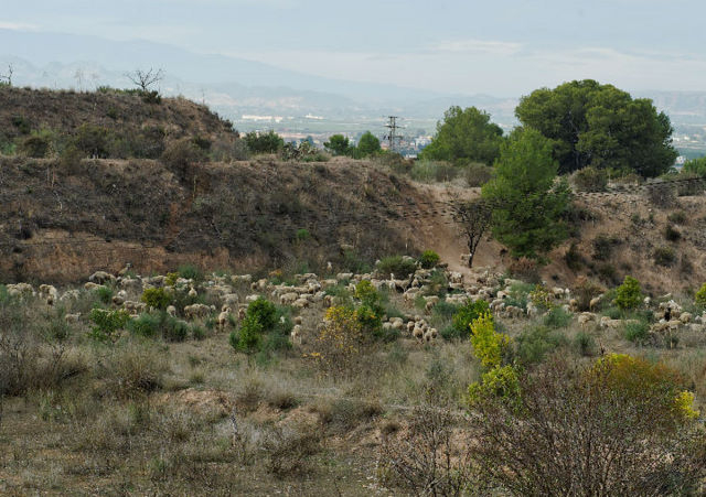 Outlying districts of Alhama de Murcia: Las Cañadas