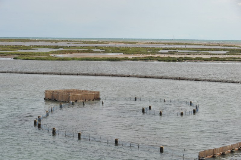 Las Encañizadas; protecting this historic fishing technique in La Manga del Mar Menor