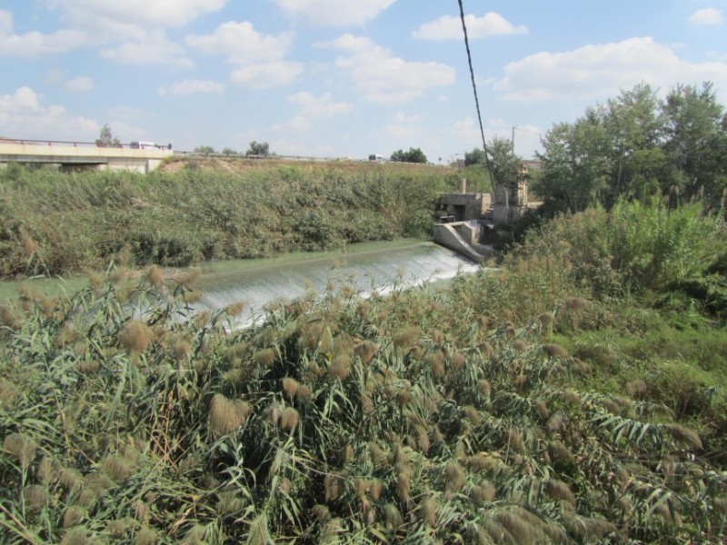 The River Segura in Archena