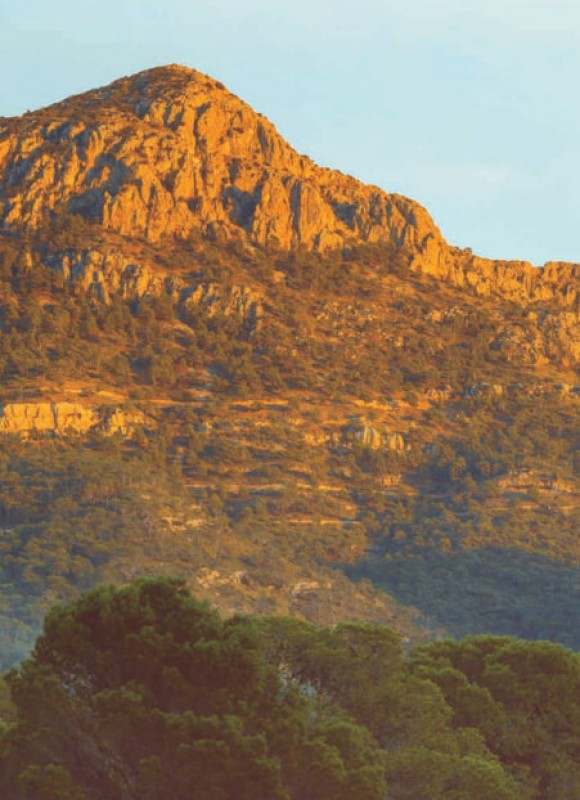 Walking in the Sierra del Carche in Jumilla