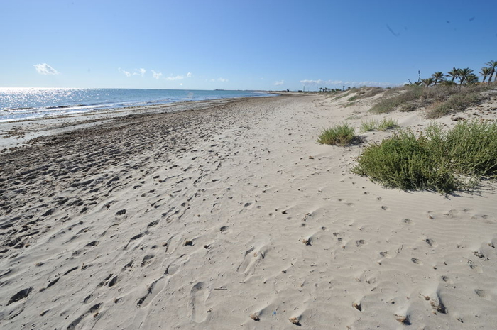 Playa El Mojón, Pilar de la Horadada