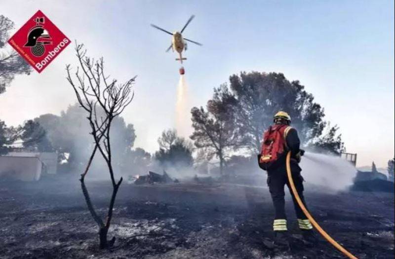Drought kills a million pines in Alicante, turning forests into powder kegs
