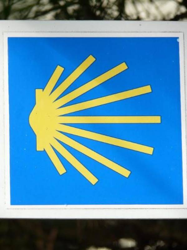 Camino de Santiago for beginners: Everything you need to know