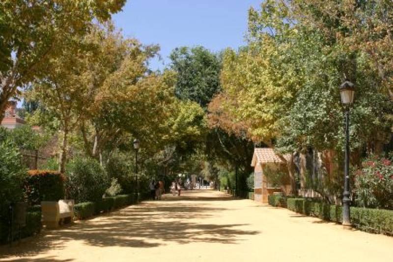 10 great ideas for a day out in Lorca