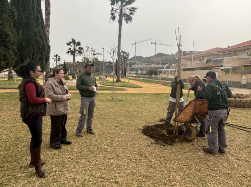 Águilas plants 30 new trees to spruce up the town