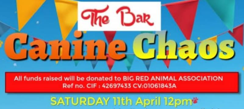 April 11 Guardamar dog show to raise funds for local animal rescue