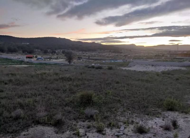 Sierra Escalona near Orihuela Costa moves closer to becoming a protected Natural Park