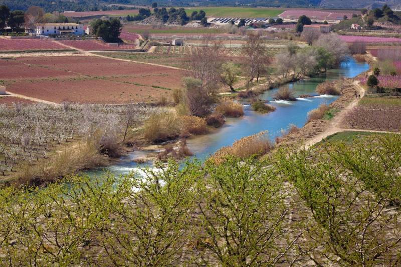 Spanish News Today Editors Roundup Weekly Bulletin May 1