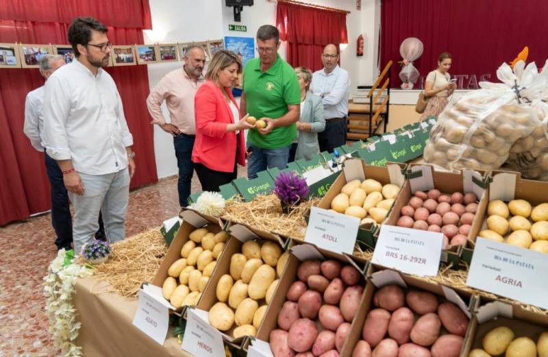 June 3 to 7 Annual Potato Fiesta in La Puebla!