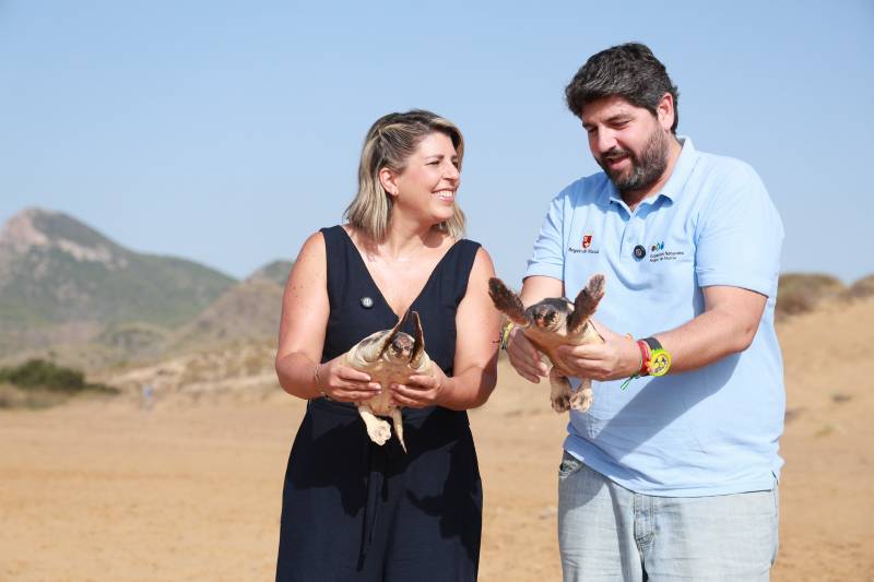 Nearly 300 loggerhead turtles returned to the sea from Murcia's coastline since 2019