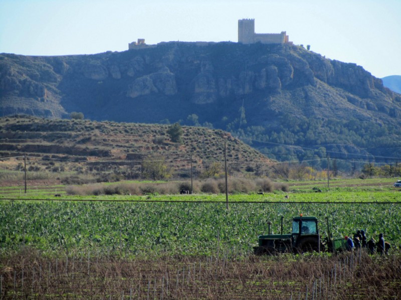 Jumilla wine route, Bodegas Bleda