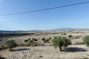 Outlying districts of Mazarron: El Saladillo